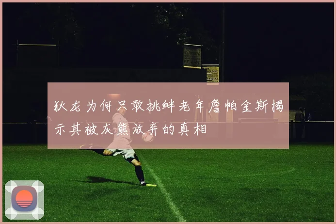 狄龙为何只敢挑衅老年詹帕金斯揭示其被灰熊放弃的真相