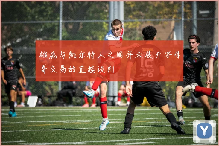 雄鹿与凯尔特人之间并未展开字母哥交易的直接谈判