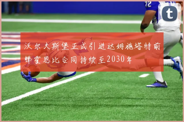 沃尔夫斯堡正式引进达姆施塔特前锋霍恩比合同持续至2030年